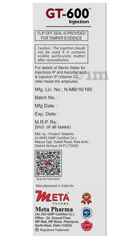 GT 600 Injection image