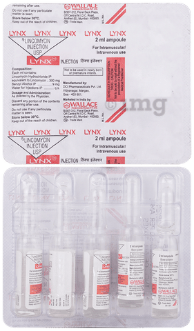 Lynx Injection