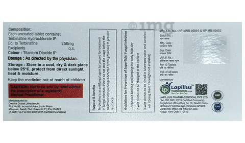 TerbiLap 250 Tablet image