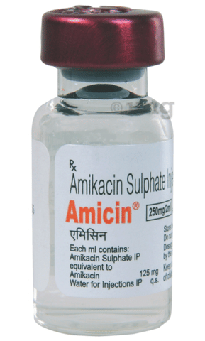 Amicin 250mg Injection image Amicin 250mg Injection image