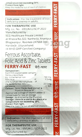 Ferry-Fast Tablet image
