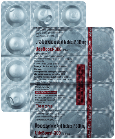 Udeboost 300 Tablet image