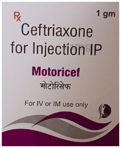 Motoricef Injection image