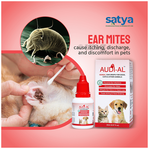 Pomisol Ear Canine Ear Infection Medication Buy INTAS Pomisol Ear
