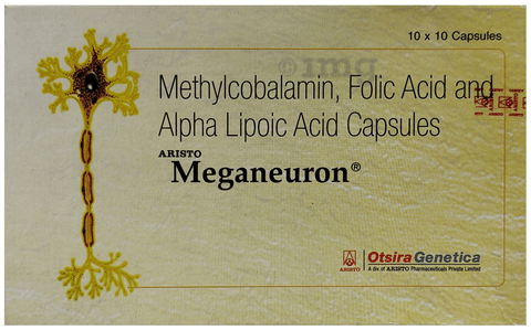 MEGAneuron Capsule image MEGAneuron Capsule image