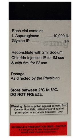 Leucoginase Injection image