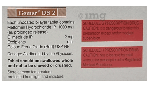 Gemer DS 2 Tablet PR image