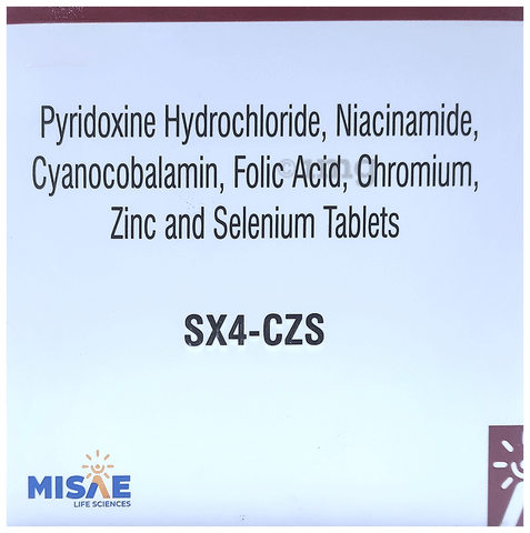 SX4-CZS Tablet image