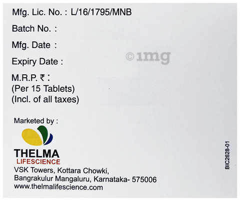 Thelmet-GP 1 Tablet SR image