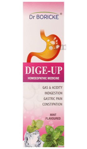 Dr Boricke Dige-Up Syrup Mint image