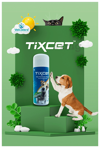 No ticks powder top for dogs
