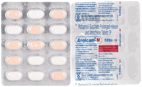 Angicam-M Tablet PR image Angicam-M Tablet PR image