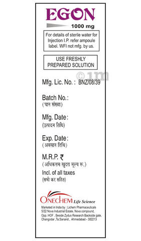 Egon 1000mg Injection image Egon 1000mg Injection image
