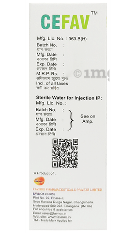 Cefav 1000mg Injection image