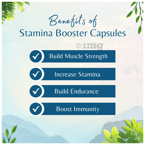 Vaidyacure Stamina Booster Capsule image Vaidyacure Stamina Booster Capsule image