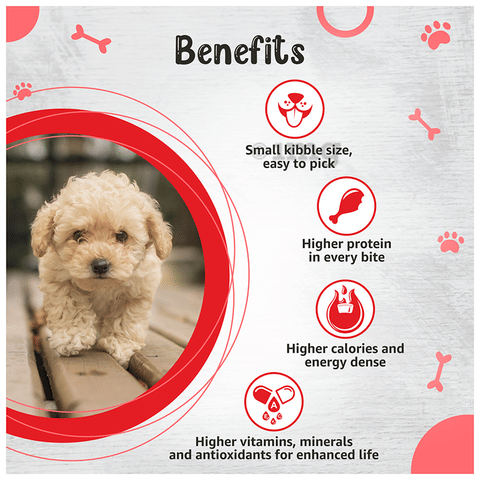 Drools Small Breed Puppy, Premium Dog Food: Buy packet of gm