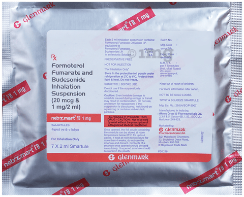 नेब्जमार्ट एफबी 1mg स्मार्ट्यूल्स (2ml ईच) image