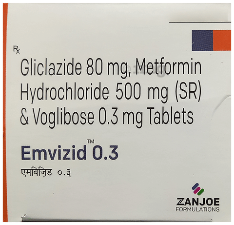 Emvizid 0.3 Tablet SR image