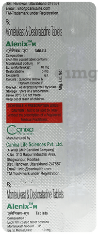 Alenix-M Tablet image