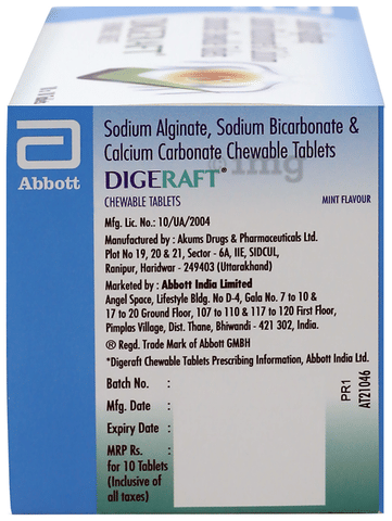 Digeraft Chewable Tablet Mint image