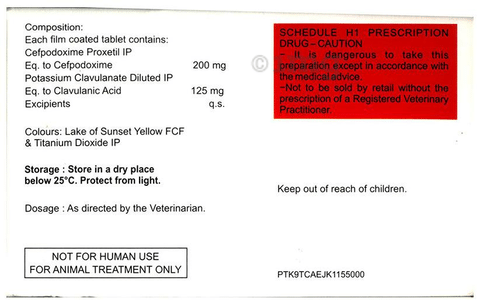Cefastar-CV 200 Tablet