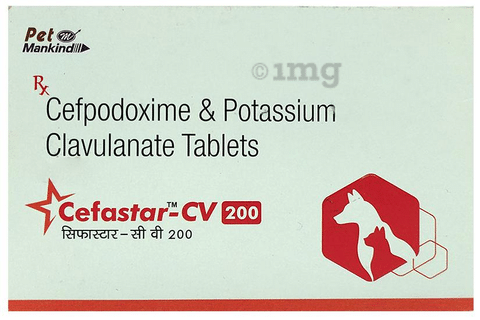 Cefastar-CV 200 Tablet