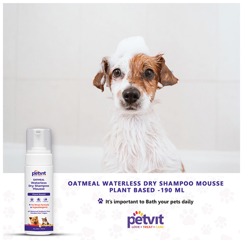 Oatmeal dry deals shampoo for dogs