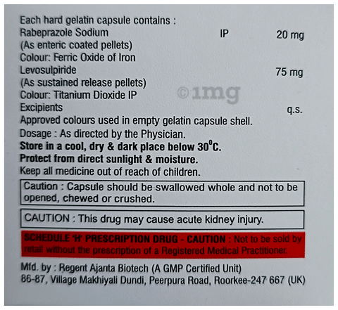 Rabimon-Plus Capsule SR image