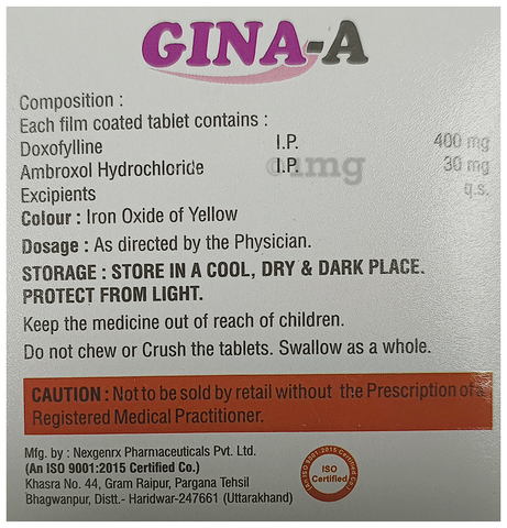 Gina-A Tablet image