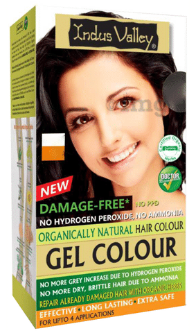 Indus Valley 100 Botanical Hair Color Soft Black  the best price and  delivery  Globally