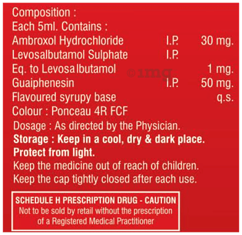 Salbery-LS Syrup image