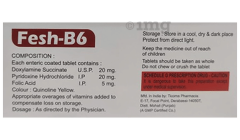 Fesh-B6 Tablet image