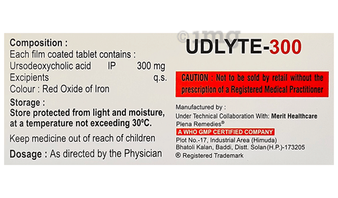 Udlyte 300 Tablet image