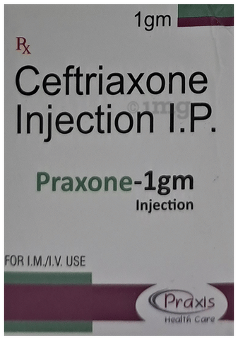 Praxone 1gm Injection image