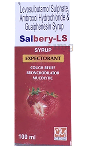 Salbery-LS Syrup image