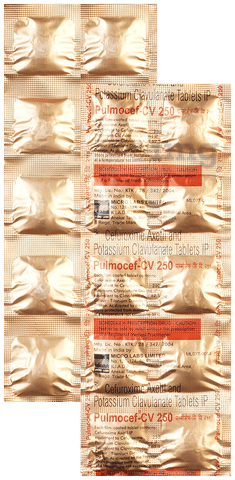 Pulmocef CV 250mg/62.50mg Tablet image
