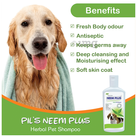 Homeopathic dog shop shampoo