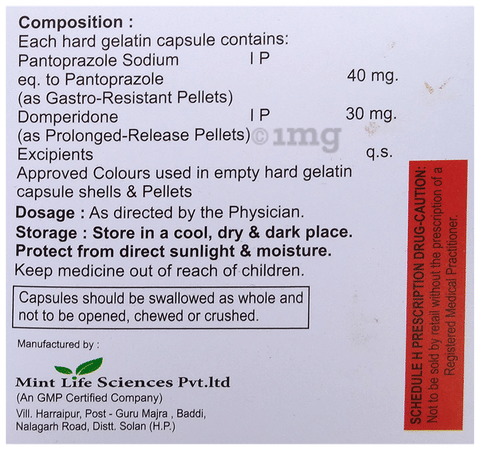 Panmint DSR Capsule image