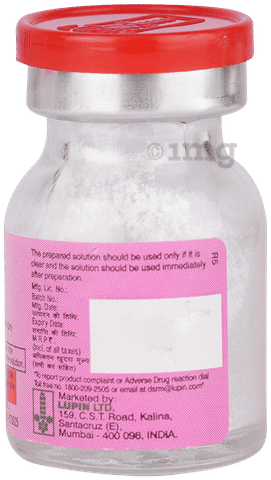 Cortilup 100mg Injection image