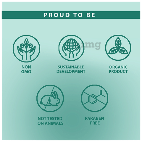 Bioayurveda Bio Allerwin Tablet image