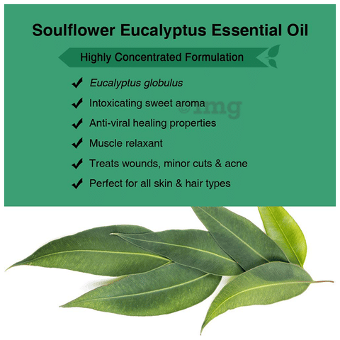 Soulflower Eucalyptus Essential Oil image Soulflower Eucalyptus Essential Oil image