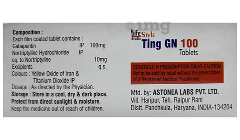 Ting GN 100 Tablet image
