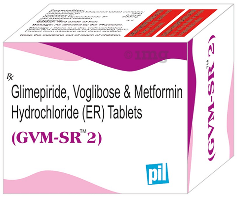 GVM 2 Tablet SR image