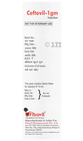 Ceftovil 1gm Injection image