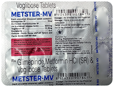 Metster-MV Tablet SR image Metster-MV Tablet SR image