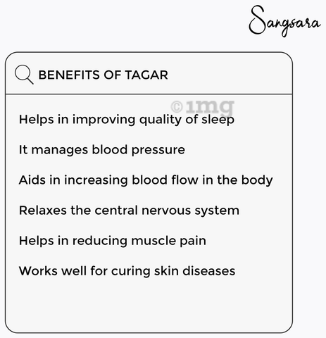 Sangsara Tagar Capsule image Sangsara Tagar Capsule image