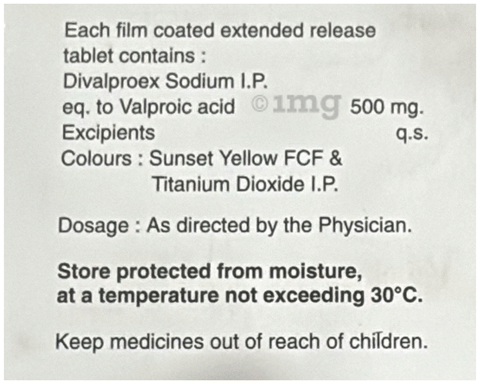 DivaLive ER 500 Tablet image