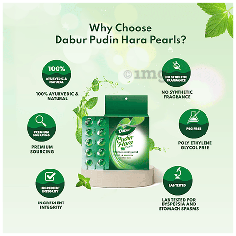 Gélules Pudin Hara Dabur - 200 Perles Actives - Aide Digestive à Base De Plantes - Posologie : 1 Par Jour