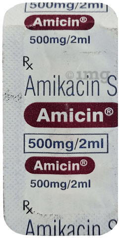 Amicin 500mg Injection image