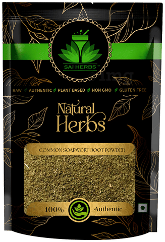 Sai Herbs Common Soapwort Root Powder 1
